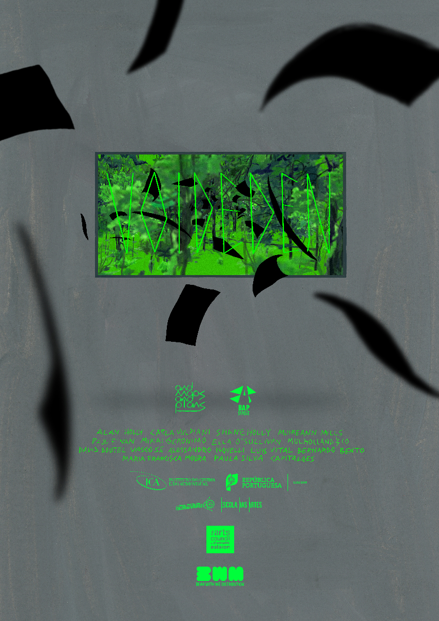 voideden poster